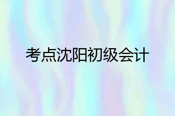 考点沈阳初级会计