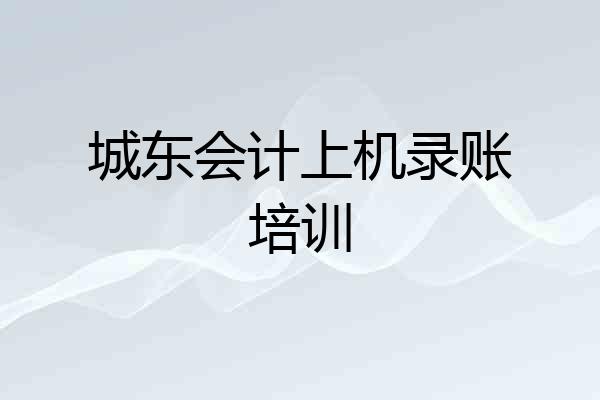城东会计上机录账培训