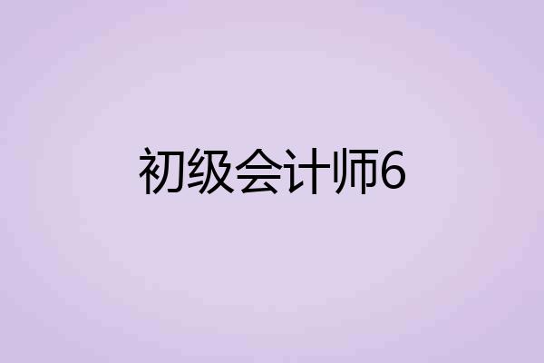 初级会计师6