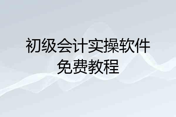 初级会计实操软件免费教程