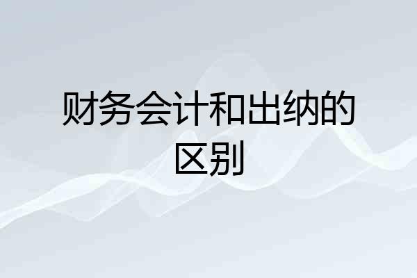 财务会计和出纳的区别