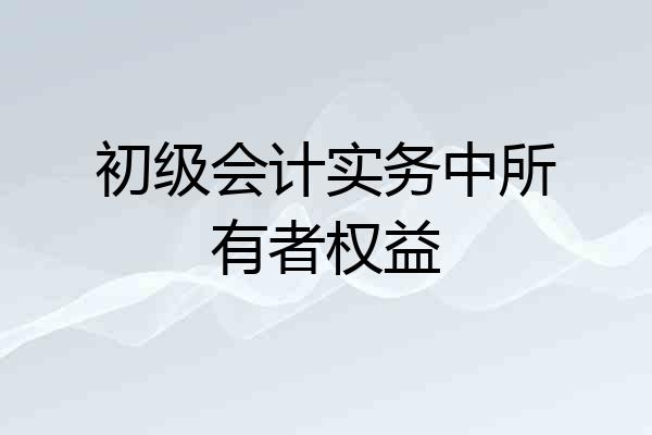 初级会计实务中所有者权益