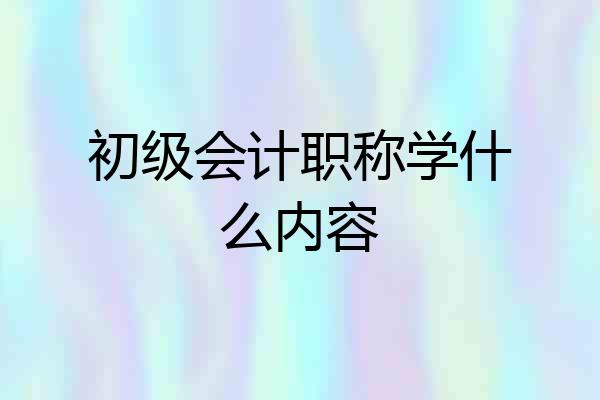 初级会计职称学什么内容