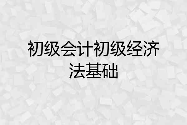 初级会计初级经济法基础