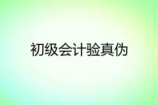 初级会计验真伪