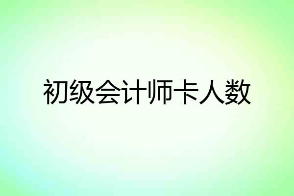 初级会计师卡人数