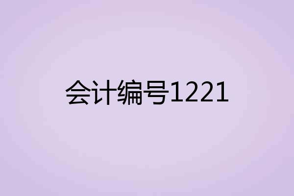 会计编号1221