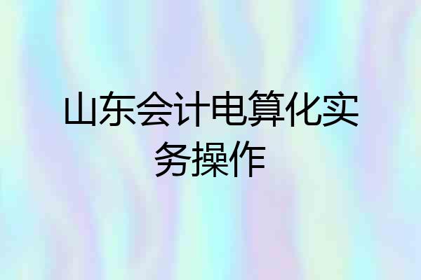 山东会计电算化实务操作