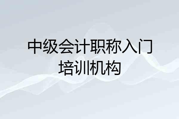 中级会计职称入门培训机构