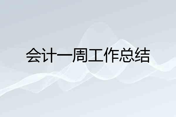 会计一周工作总结