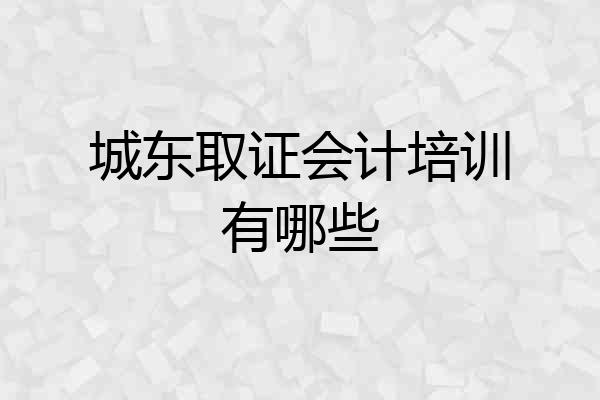 城东取证会计培训有哪些