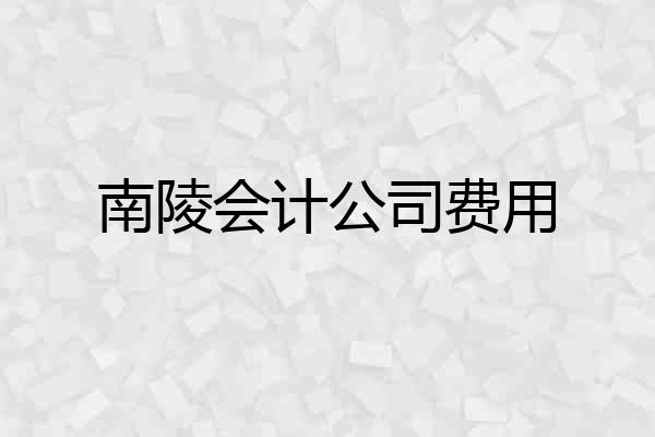 南陵会计公司费用
