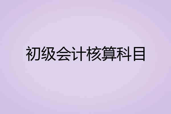 初级会计核算科目
