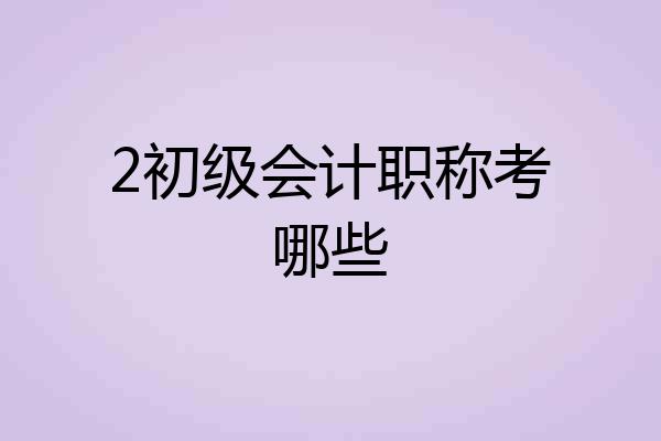 2初级会计职称考哪些