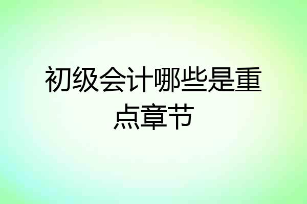 初级会计哪些是重点章节