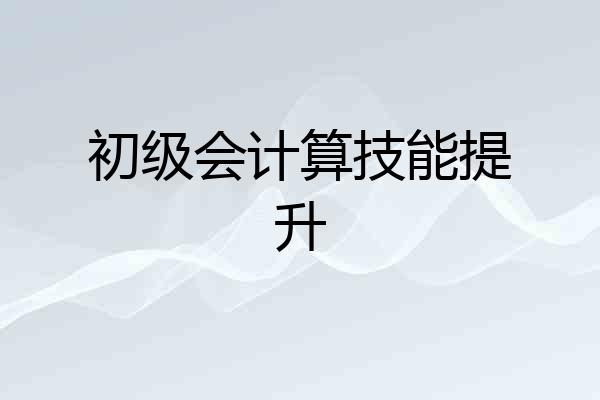 初级会计算技能提升