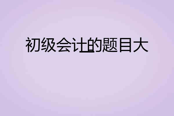 初级会计的题目大一