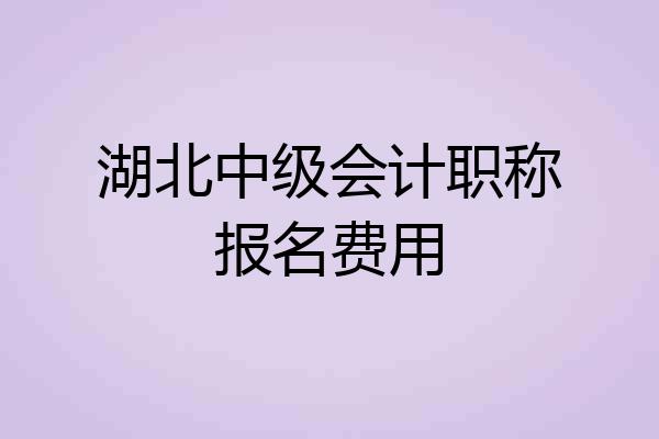 湖北中级会计职称报名费用