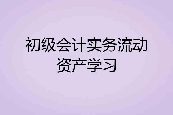 初级会计实务流动资产学习