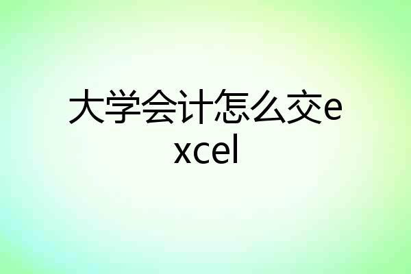 大学会计怎么交excel