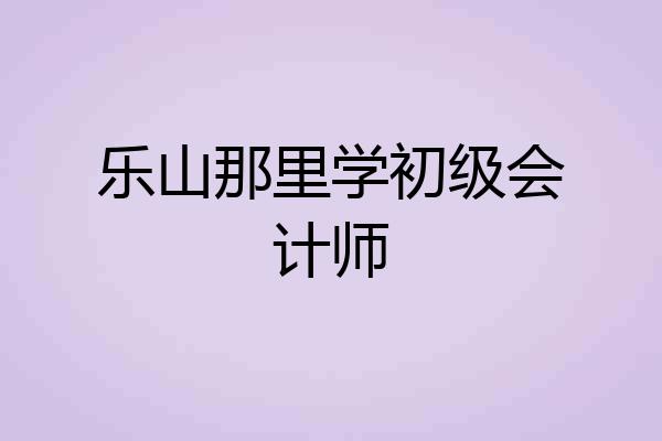 乐山那里学初级会计师