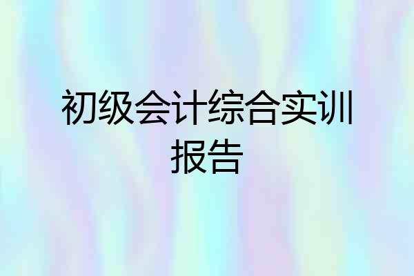 初级会计综合实训报告