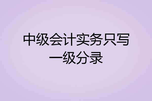 中级会计实务只写一级分录