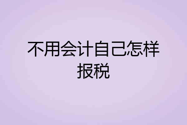 不用会计自己怎样报税