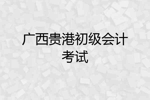 广西贵港初级会计考试