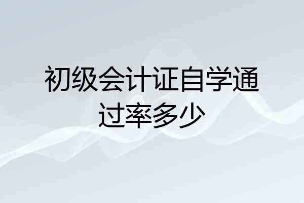 初级会计证自学通过率多少