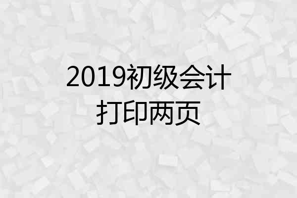 2019初级会计打印两页