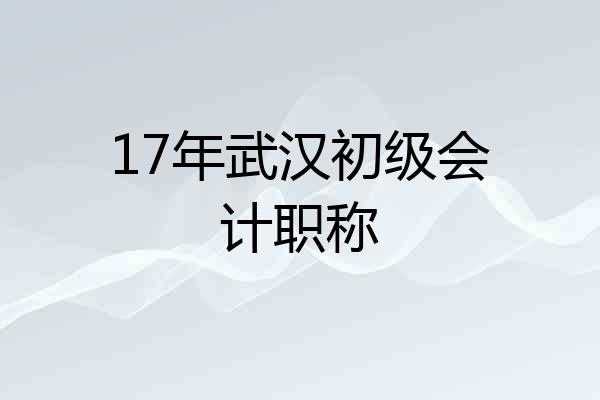 17年武汉初级会计职称