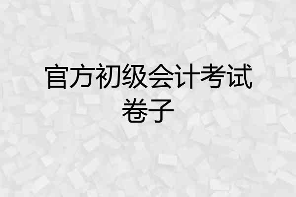 官方初级会计考试卷子
