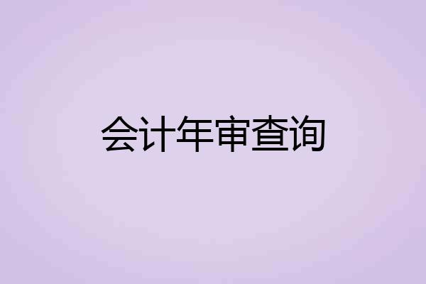 会计年审查询