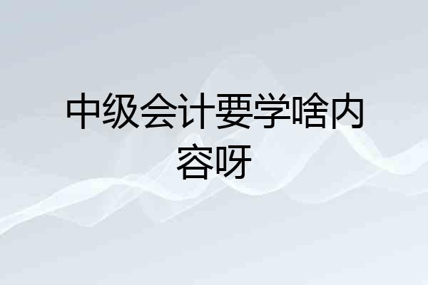 中级会计要学啥内容呀