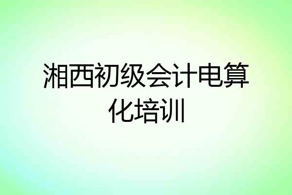 湘西初级会计电算化培训