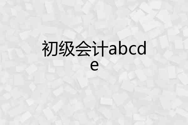 初级会计abcde