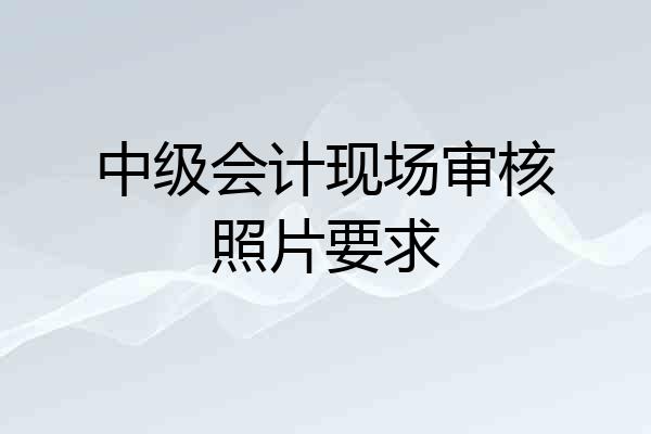 中级会计现场审核照片要求