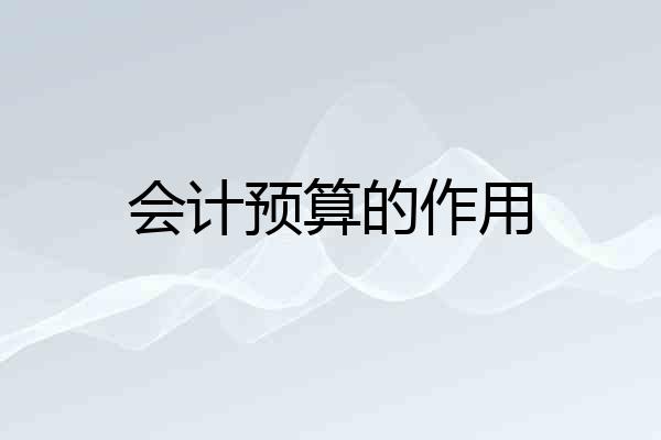 会计预算的作用