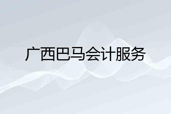 广西巴马会计服务
