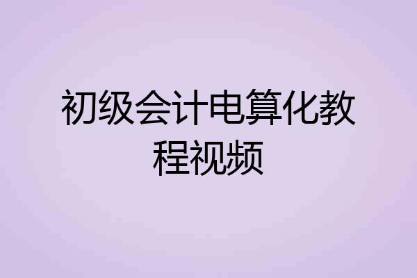 初级会计电算化教程视频