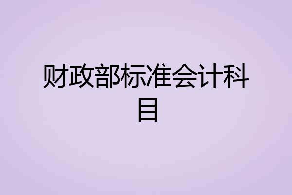 财政部标准会计科目