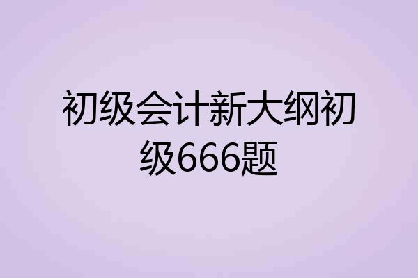 初级会计新大纲初级666题