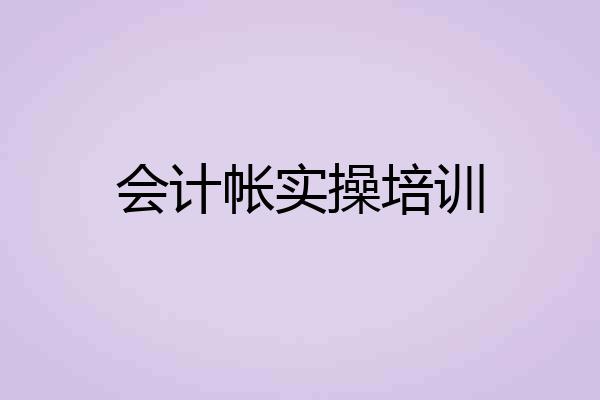 会计帐实操培训