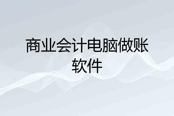 商业会计电脑做账软件