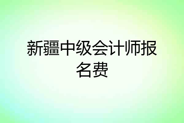新疆中级会计师报名费