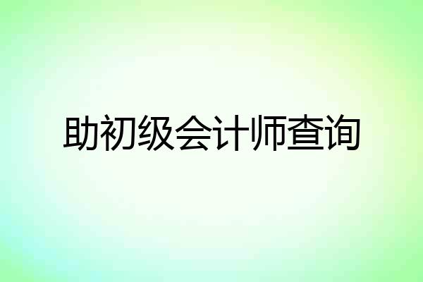 助初级会计师查询