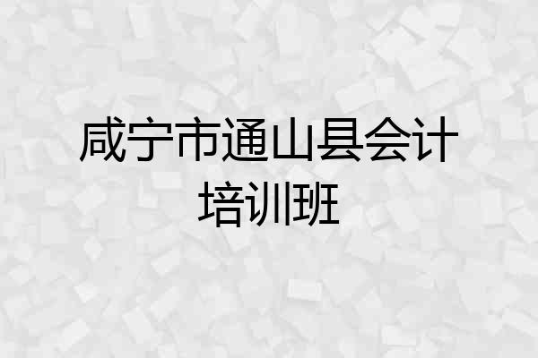 咸宁市通山县会计培训班