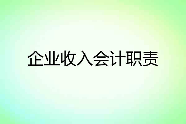 企业收入会计职责