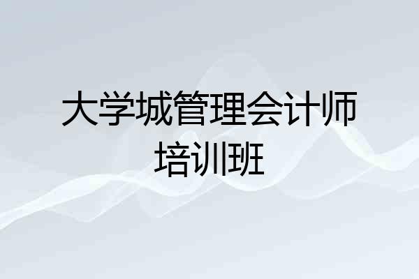 大学城管理会计师培训班